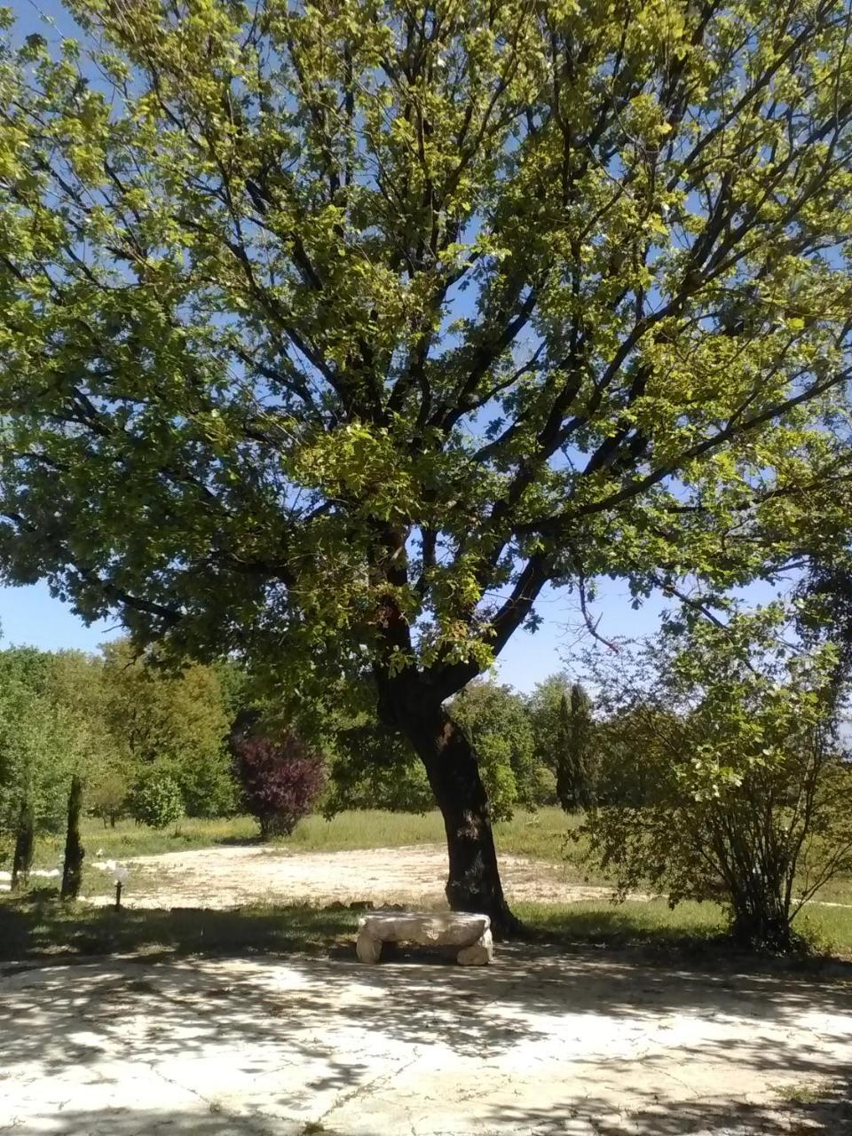 Vila Casina Di Pietra San Giorgio a Liri Exteriér fotografie